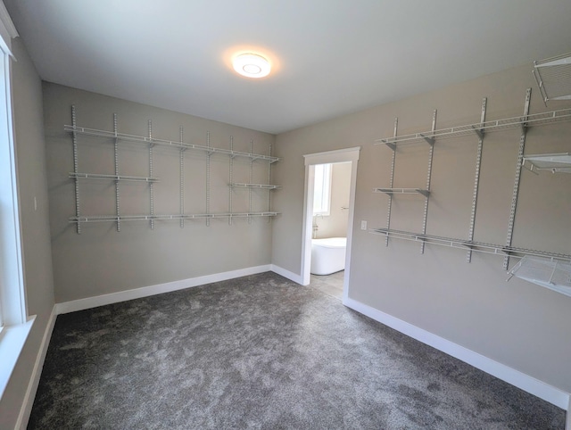 spacious closet with carpet floors