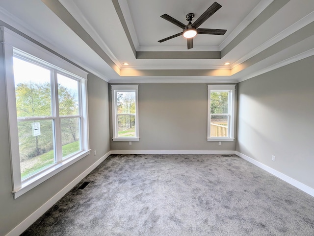 spare room with a raised ceiling, ornamental molding, carpet floors, and ceiling fan