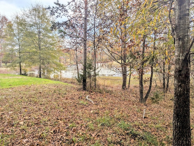 view of yard featuring a water view