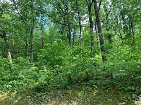334 Woodrow Ave, Red Bank, TN 37415 - photo 8