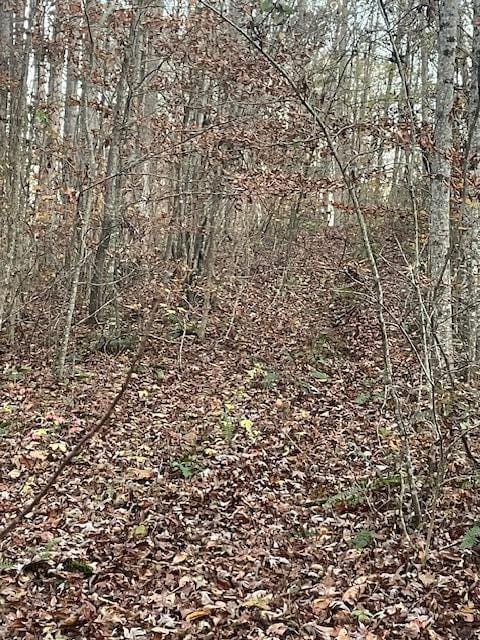 468 Horns Creek Rd, Old Fort TN, 37362 land for sale