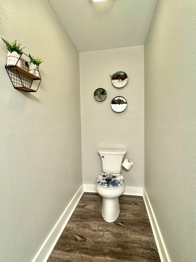 bathroom with wood-type flooring and toilet