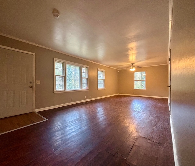 interior space featuring ceiling fan, crown molding, and dark wood-type flooring