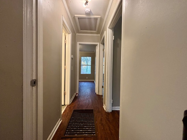 corridor with dark hardwood / wood-style floors and crown molding