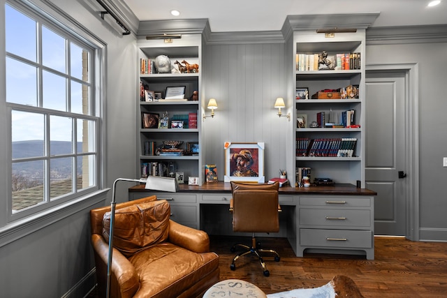 office area featuring a mountain view, a healthy amount of sunlight, ornamental molding, and dark wood-type flooring