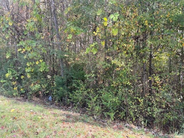 0 Probasco St, Lafayette GA, 30728 land for sale