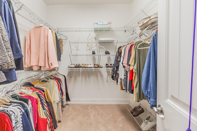 walk in closet with light carpet