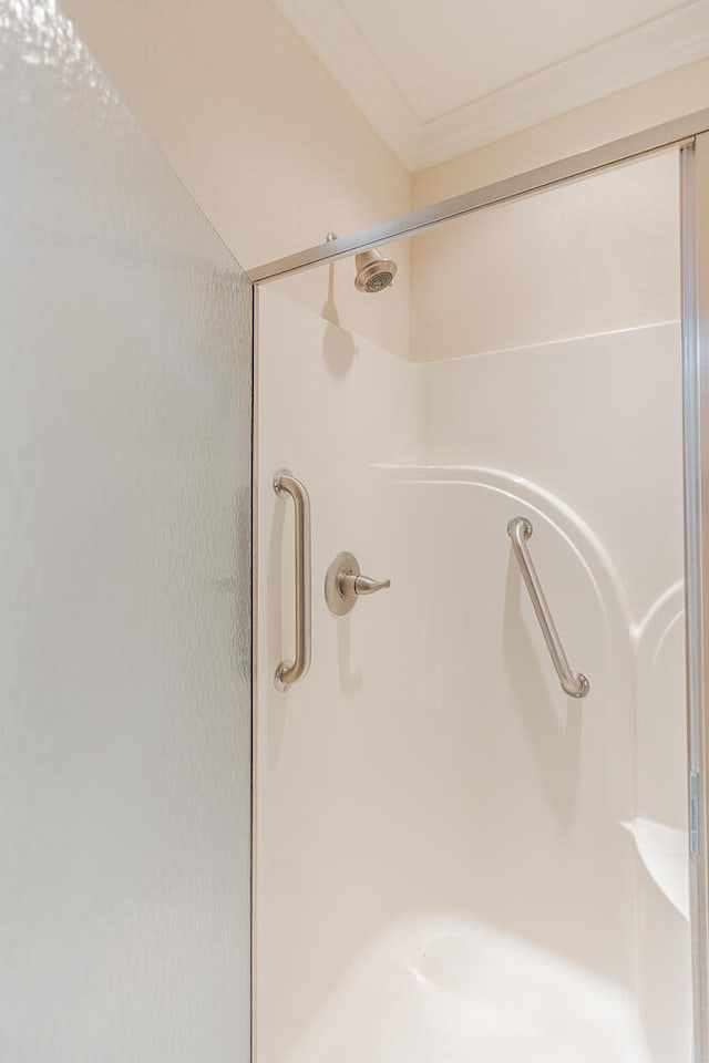 interior details featuring an enclosed shower