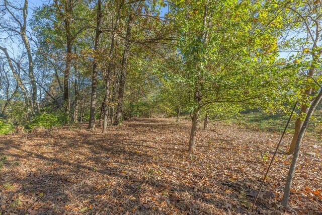6315 Laramie Cir, Chattanooga, TN 37421 - view of undeveloped land