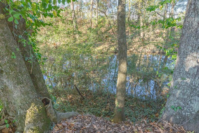 6315 Laramie Cir, Chattanooga, TN 37421 - view of tree filled area