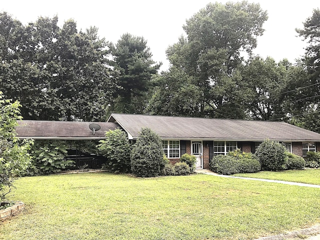 ranch-style house with a front yard