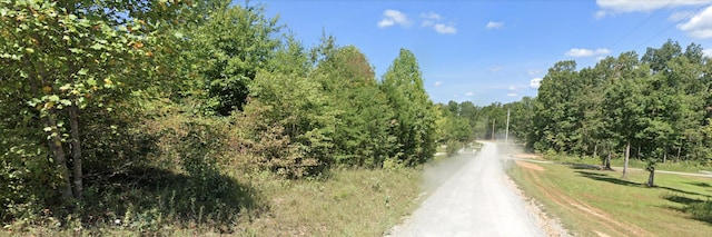 3.00 Poplar Rd, Pikeville, TN 37367 - photo 4