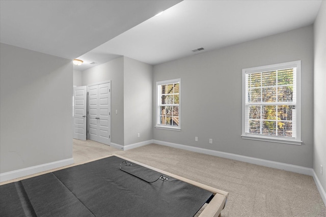 interior space featuring light carpet and a wealth of natural light