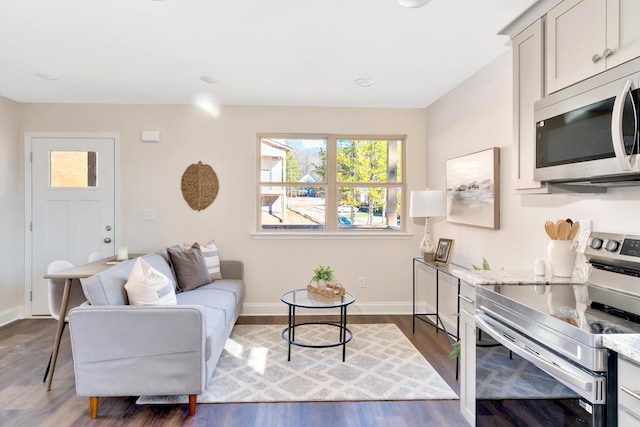 living room with dark hardwood / wood-style floors