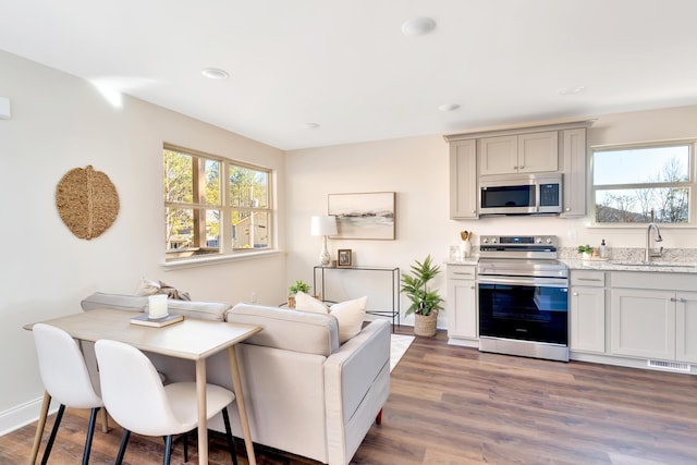 living room featuring sink and dark hardwood / wood-style flooring