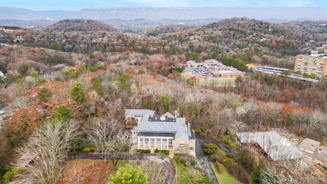 31 Minnekahda Pl, Chattanooga, TN 37405 - photo 17