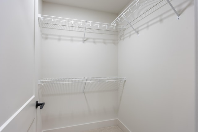 view of spacious closet