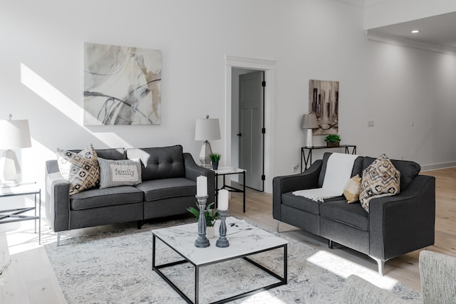 living room with wood-type flooring and crown molding