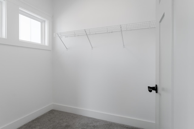 8340 Snowdrop Way, Ooltewah, TN 37363 - walk in closet with carpet