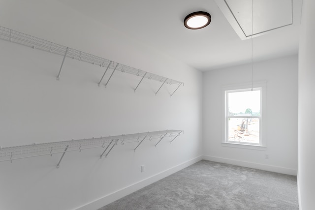 spacious closet with carpet