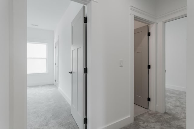 8340 Snowdrop Way, Ooltewah, TN 37363 - hallway with carpet floors and baseboards