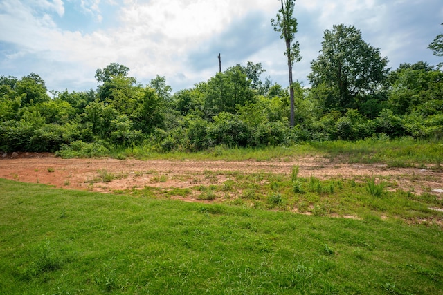 8340 Snowdrop Way, Ooltewah, TN 37363 - view of local wilderness