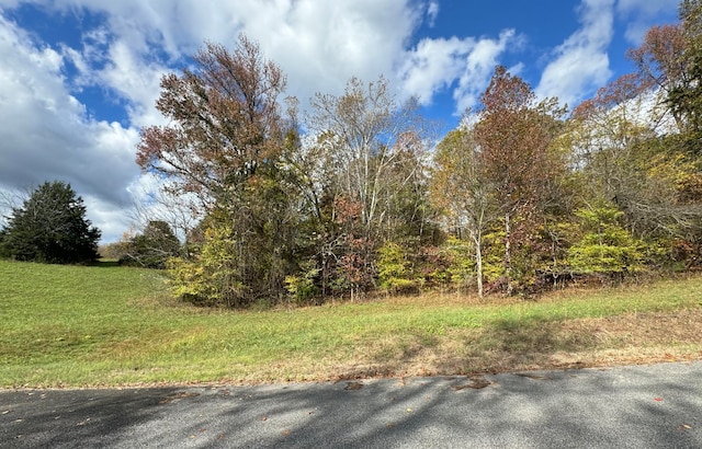 Oo Goodfield Terrace Lot 33, Decatur TN, 37322 land for sale