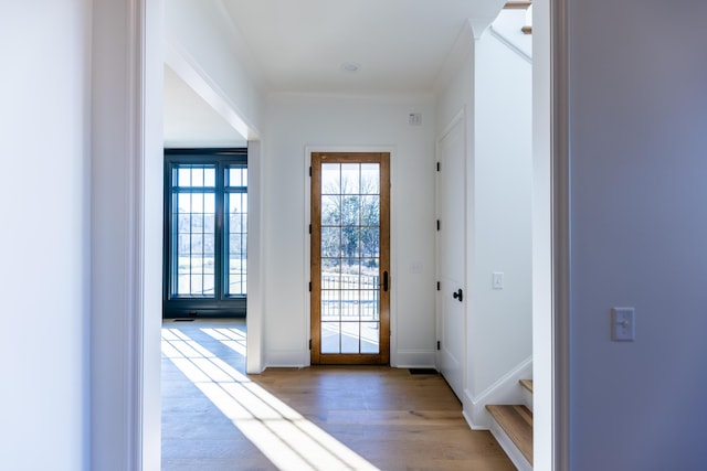 entryway featuring crown molding, baseboards, and light wood-style floors