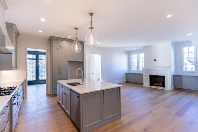 kitchen featuring appliances with stainless steel finishes, a sink, light wood finished floors, and gray cabinetry