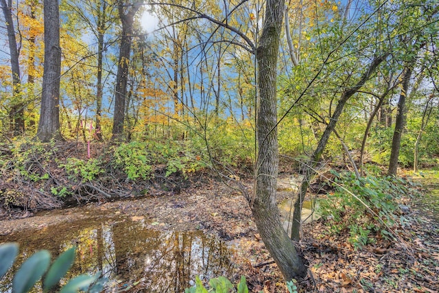 view of local wilderness