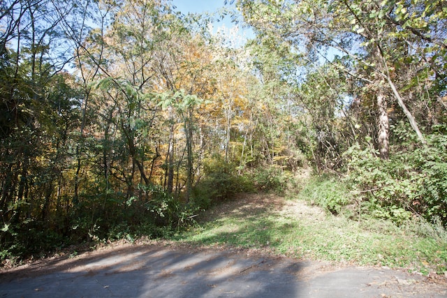 view of landscape