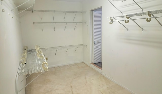 spacious closet featuring carpet floors