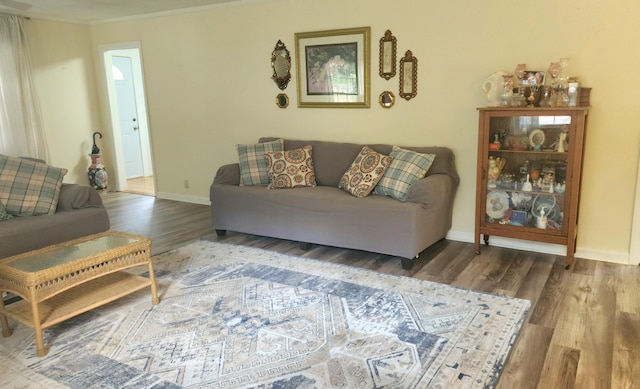 living room featuring hardwood / wood-style flooring and crown molding