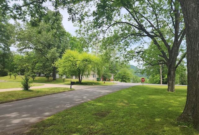 view of community with a lawn