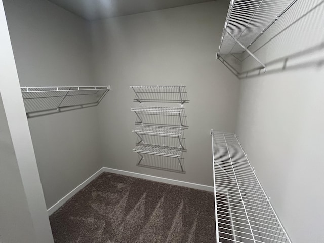 spacious closet featuring dark carpet