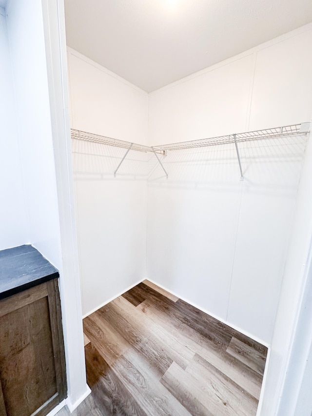 spacious closet featuring hardwood / wood-style flooring