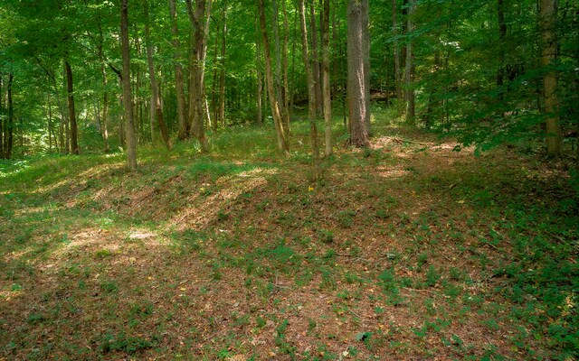 1754 Oakbrook Trl, Ooltewah, TN 37363 - photo 12