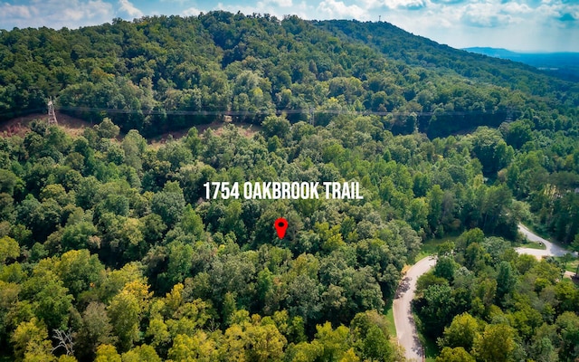 1754 Oakbrook Trl, Ooltewah, TN 37363 - photo 13