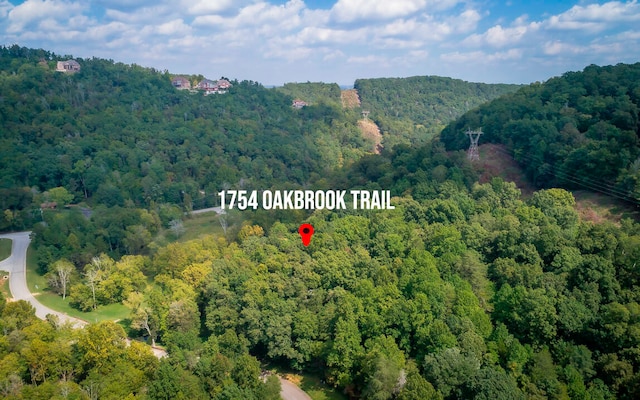 1754 Oakbrook Trl, Ooltewah, TN 37363 - photo 15