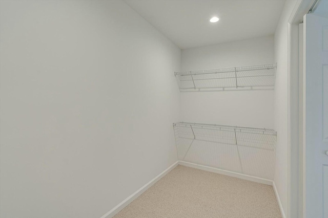 spacious closet featuring carpet