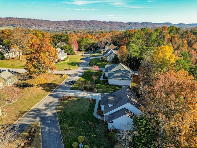 birds eye view of property with a mountain view