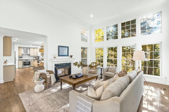 living room featuring dark hardwood / wood-style flooring, a towering ceiling, a fireplace, and ornamental molding