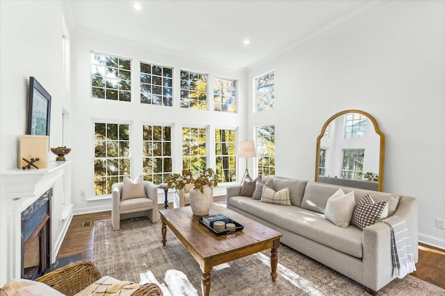 living room featuring a high ceiling, crown molding, and dark wood-type flooring