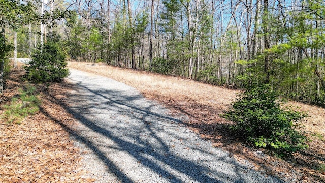 view of road