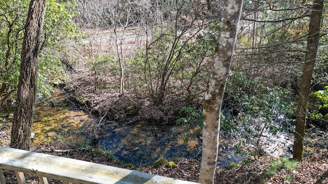 view of nature featuring a water view