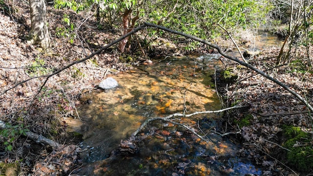 view of landscape with a water view