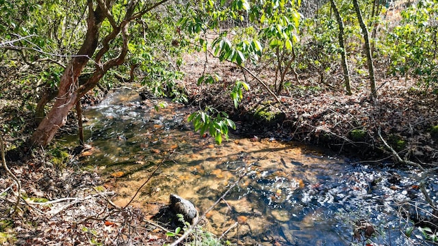 view of nature featuring a water view