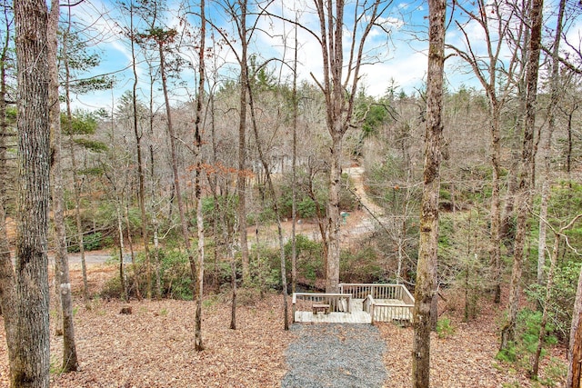 view of yard with a wooden deck