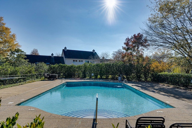 view of pool featuring a patio