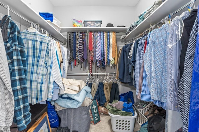 spacious closet featuring carpet floors